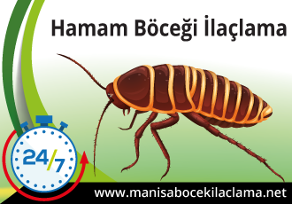 Hamam Böceği İlaçlama