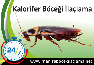 Kalorifer Böceği İlaçlama