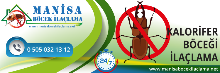 Kalorifer Böceği İlaçlama