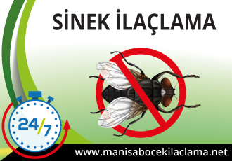 Sinek İlaçlama
