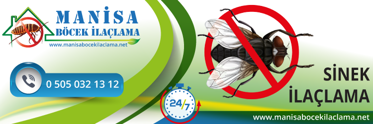 Sinek İlaçlama