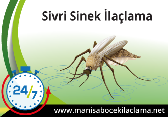 Sivrisinek İlaçlama