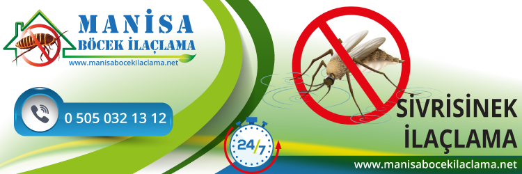 Sivrisinek İlaçlama
