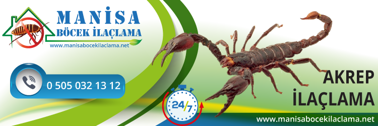 Akrep İlaçlama