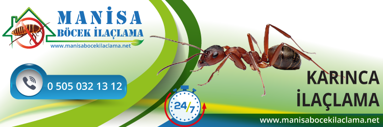 Karınca İlaçlama