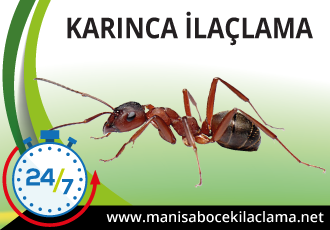 Karınca İlaçlama