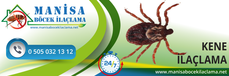 Kene İlaçlama