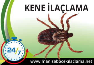 Kene İlaçlama