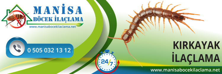 Kırkayak İlaçlama