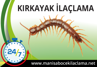 Kırkayak İlaçlama