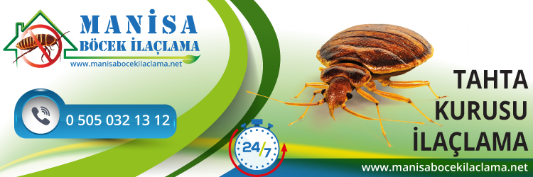 Tahta Kurusu İlaçlama