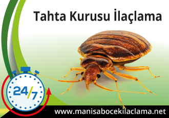 Tahta Kurusu İlaçlama